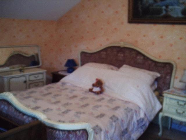 Bed and Breakfast Chez Josephine Metting Pokój zdjęcie